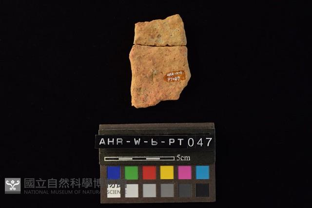 陶片藏品圖，第3張