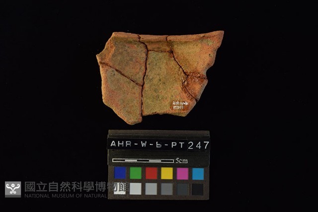 陶片藏品圖，第1張