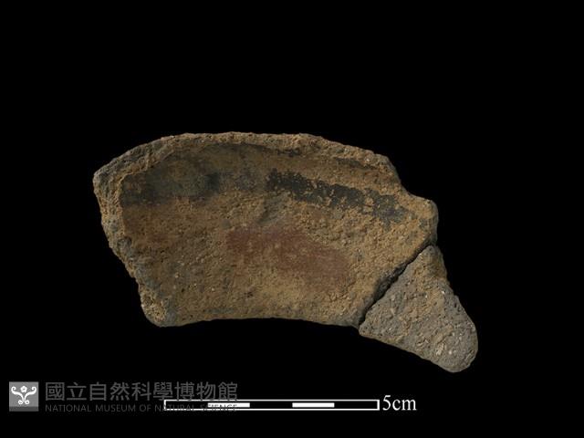 陶片藏品圖，第2張