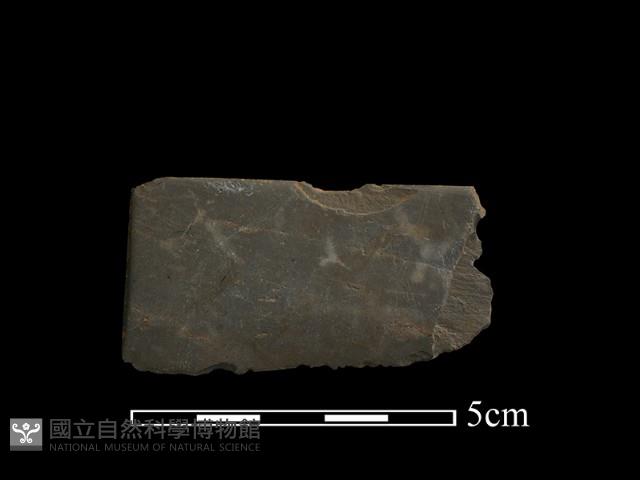 石刀藏品圖，第2張