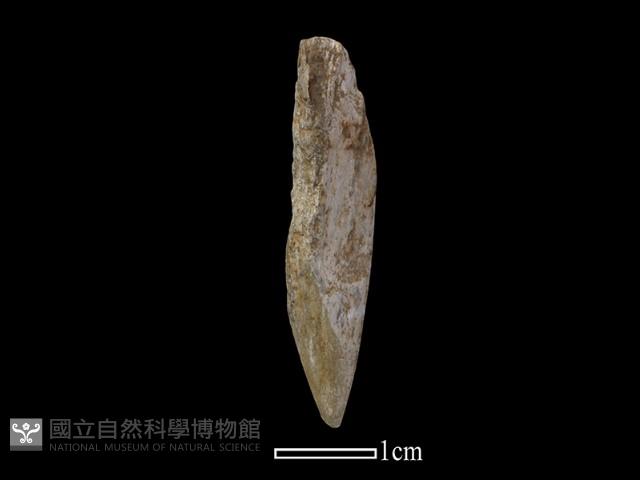 鑽頭藏品圖，第3張