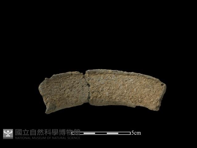 陶片藏品圖，第1張