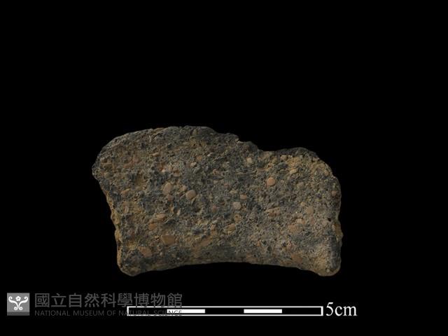 陶片藏品圖，第2張