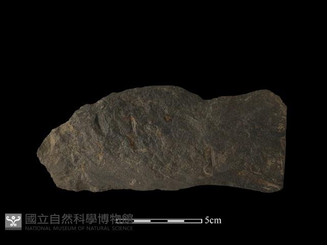 戈形器藏品圖，第1張