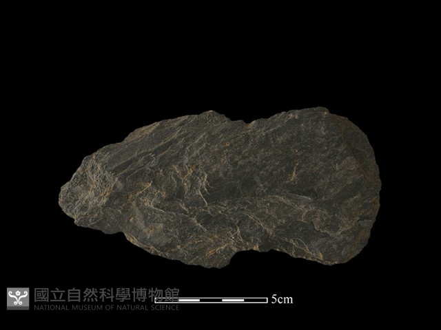 戈形器藏品圖，第2張