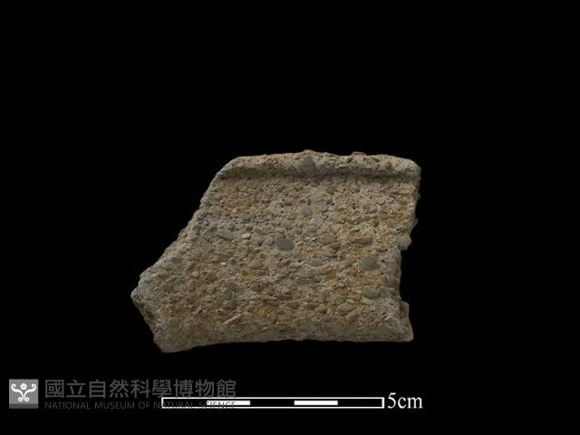 陶片藏品圖，第2張