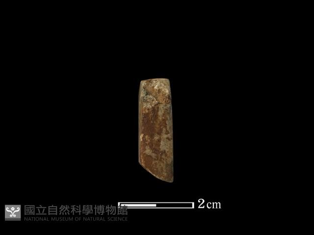 錛鑿形器藏品圖，第3張