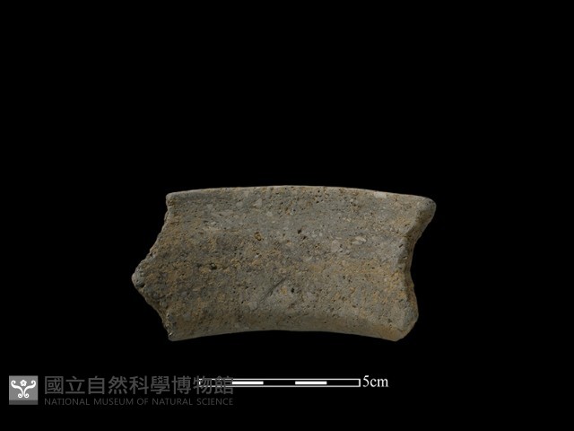 陶片藏品圖，第2張
