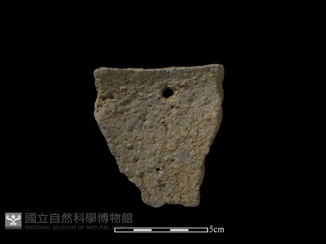 陶片藏品圖，第2張