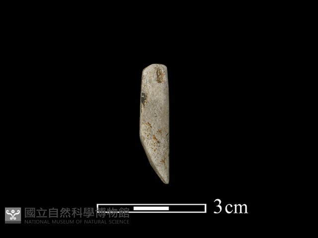 錛鑿形器藏品圖，第3張