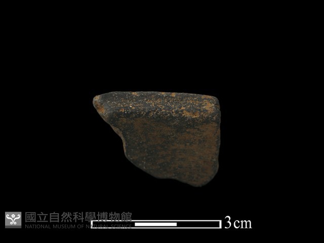 陶片藏品圖，第1張