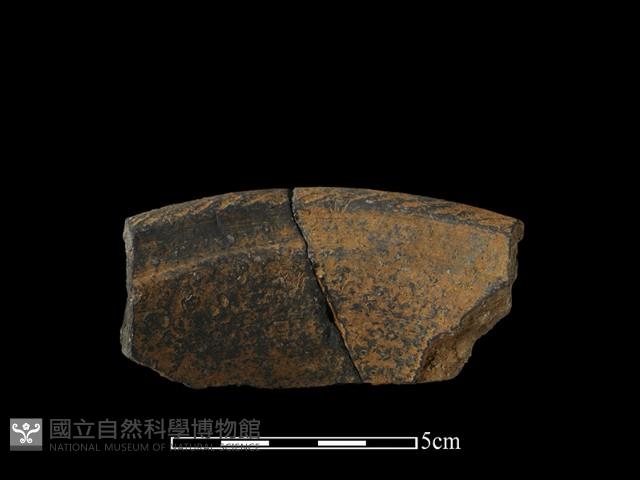 陶片藏品圖，第1張