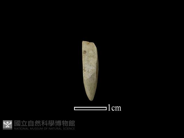 鑽頭藏品圖，第1張