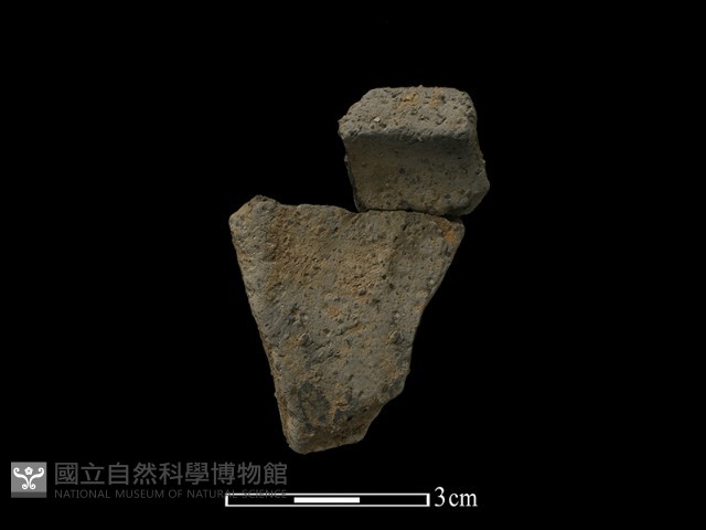 陶片藏品圖，第2張