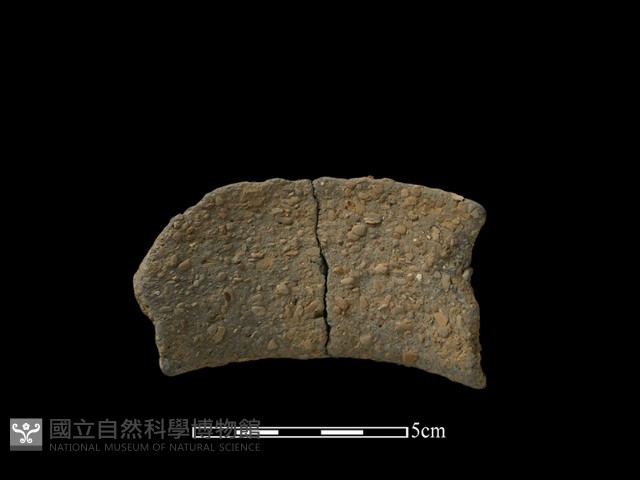 陶片藏品圖，第2張