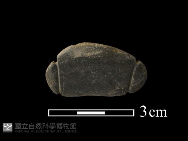 網墜藏品圖，第2張