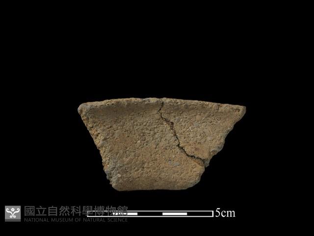 陶片藏品圖，第2張