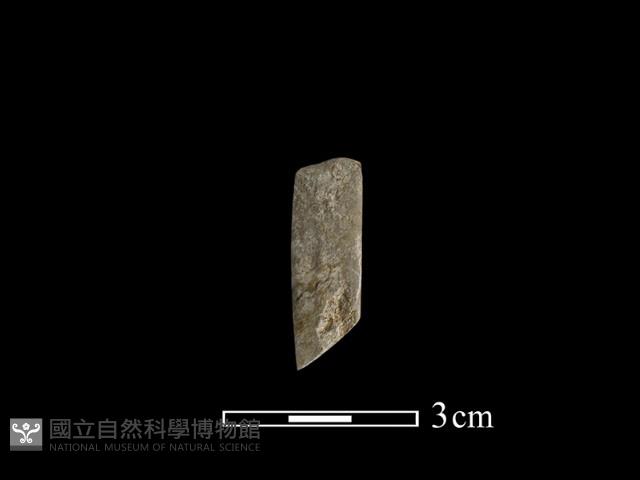 錛鑿形器藏品圖，第1張