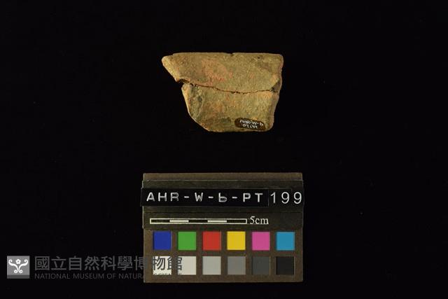 陶罐藏品圖，第3張