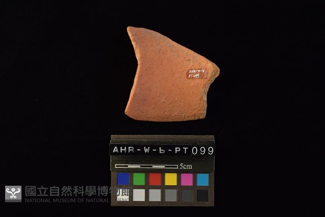 陶片藏品圖，第3張