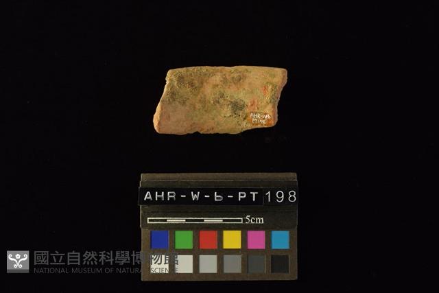 Accession Number:AHR-W-b-PT198 Collection Image, Figure 2, Total 4 Figures