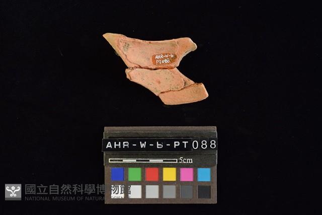 陶片藏品圖，第3張