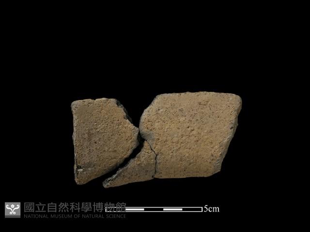 陶片藏品圖，第1張