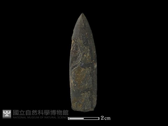 矛鏃形器藏品圖，第2張