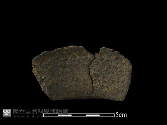 陶片藏品圖，第2張