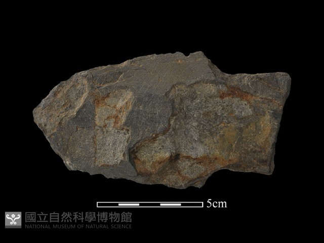 戈形器藏品圖，第2張