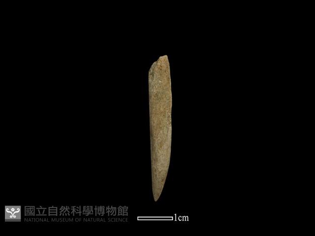 磨製石器藏品圖，第3張