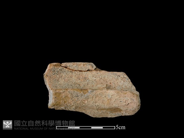 陶罐藏品圖，第2張