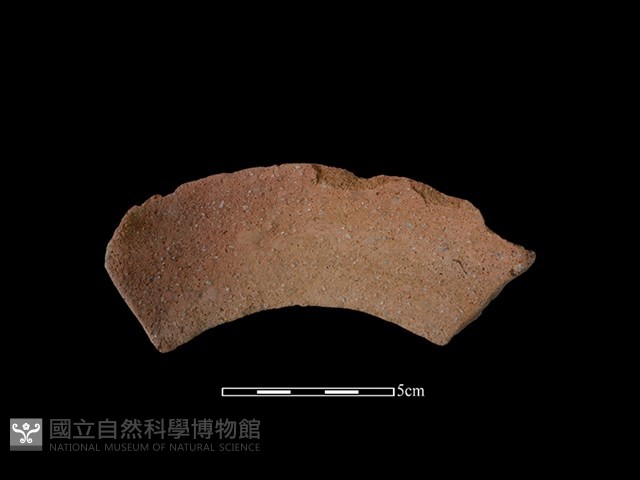 陶罐藏品圖，第2張