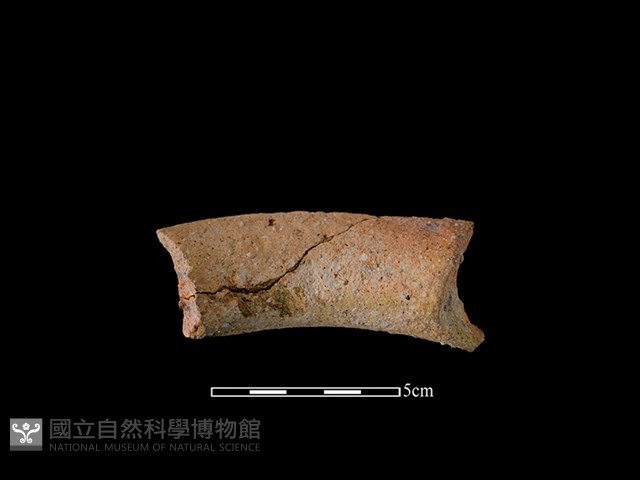 陶罐藏品圖，第2張