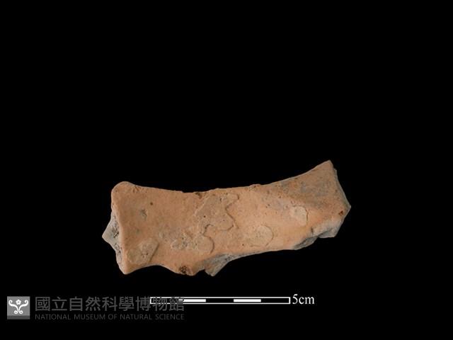 連杯形器藏品圖，第2張