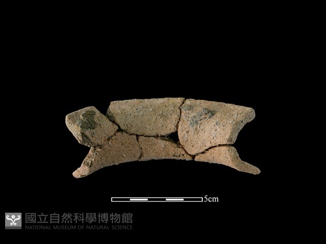 陶罐藏品圖，第2張