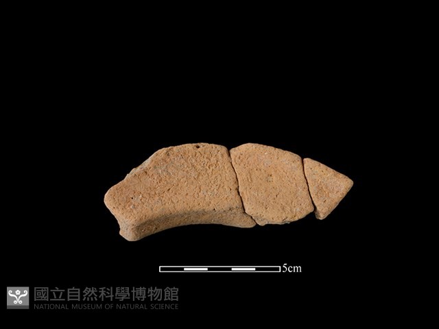 陶罐藏品圖，第2張