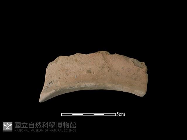 連杯形器藏品圖，第2張