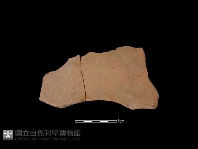 連杯形器藏品圖，第2張