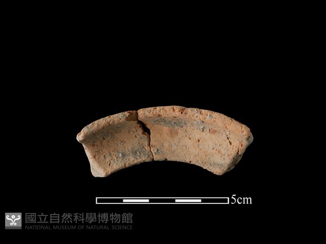陶罐藏品圖，第2張