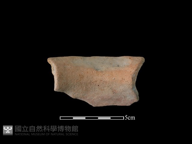 陶罐藏品圖，第2張