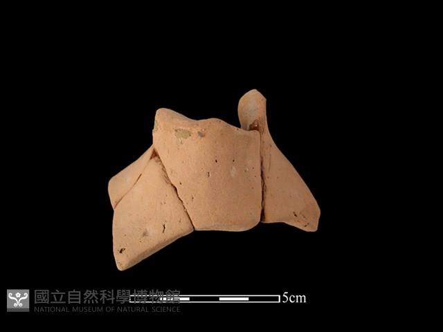 陶片藏品圖，第2張