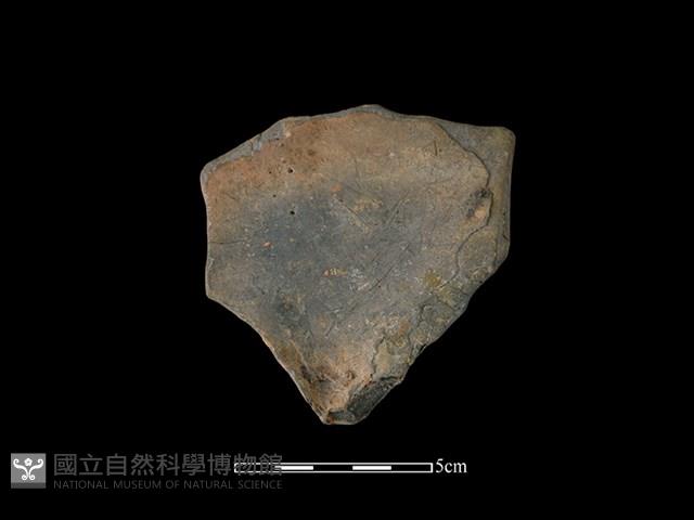 Accession Number:HL-LF78-2019-640 Collection Image, Figure 2, Total 2 Figures