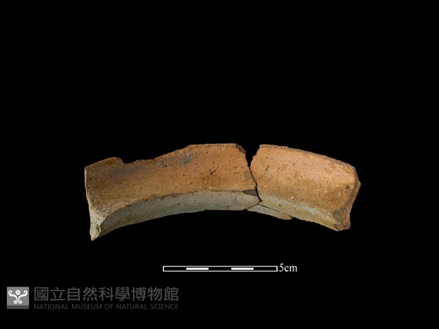 陶罐藏品圖，第2張