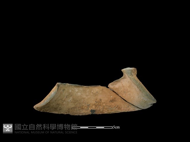 陶罐藏品圖，第2張