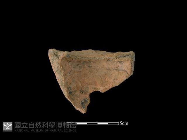 連杯形器藏品圖，第2張