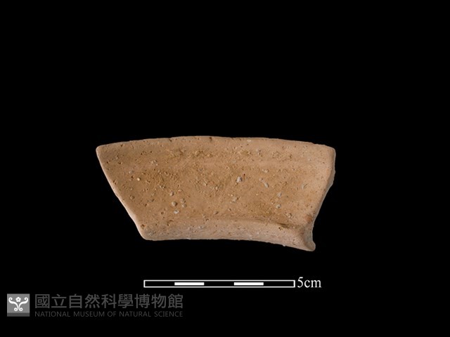 陶罐藏品圖，第2張