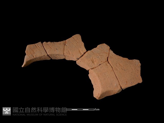 連杯形器藏品圖，第2張