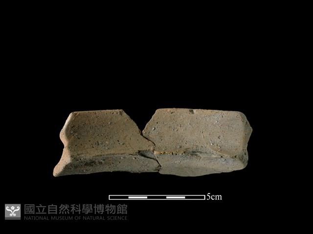 陶罐藏品圖，第2張