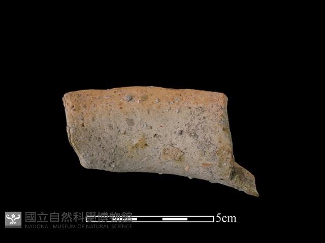 陶罐藏品圖，第2張